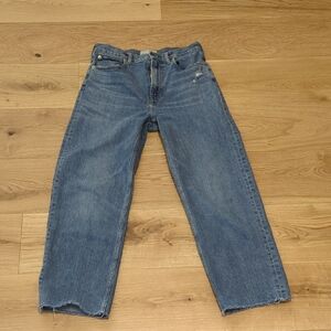 Everlane The Way High Jean Size 27